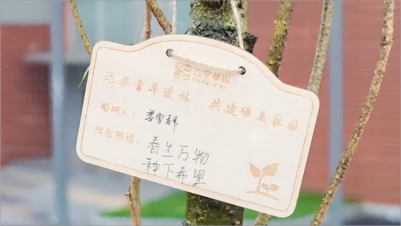 瓦力游戏| 首页 -瓦力出品,必属精品