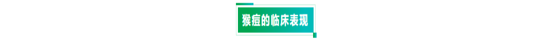 瓦力游戏| 首页 -瓦力出品,必属精品