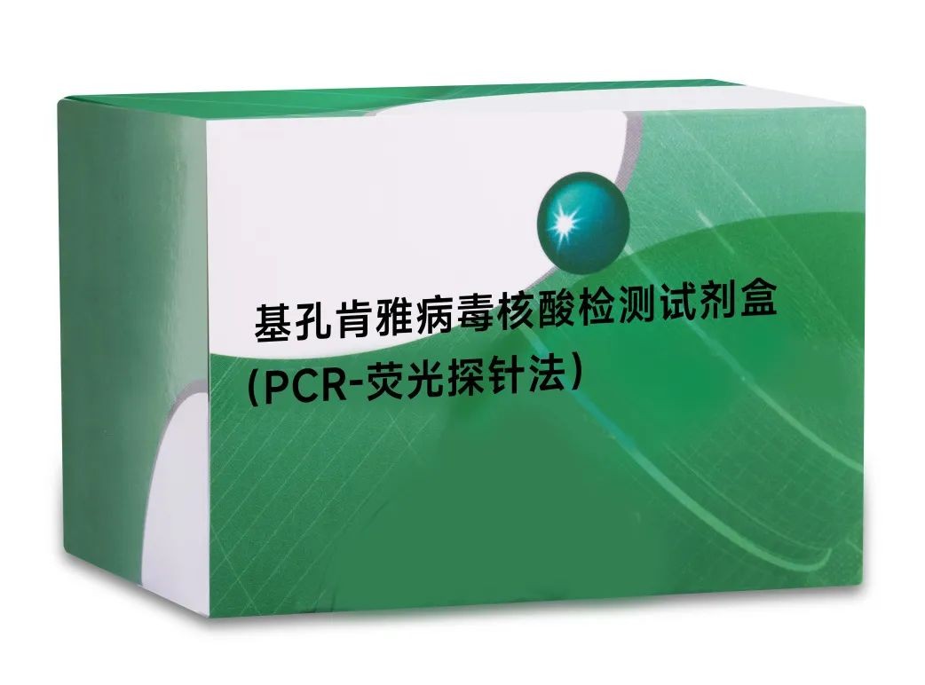瓦力游戏| 首页 -瓦力出品,必属精品